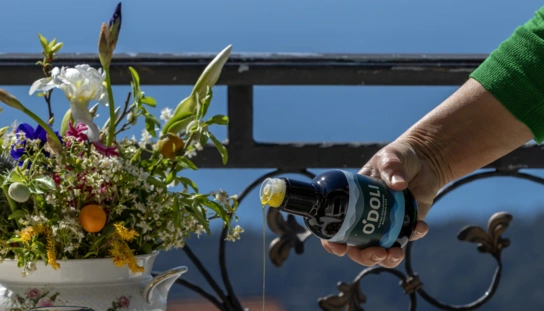 Među najboljima: Festival Autentica i suvenir O'DOLI Simply the best 2026