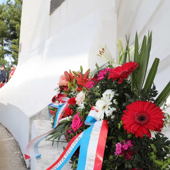 Obilježavanje Dana Europe  i Dana pobjede nad fašizmom 