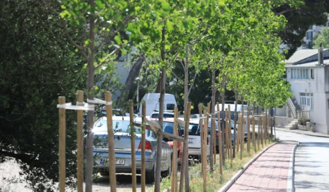 Od 29. listopada do 4. studenoga: Sudjelujte u anketi i dajte svoj prijedlog za zeleniju Makarsku