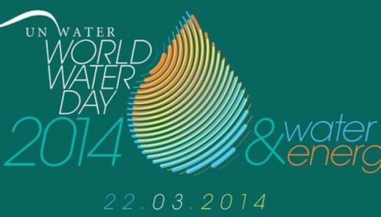 Obilježavanje Svjetskog dana voda: Danas edukativne radionice u Kotišini