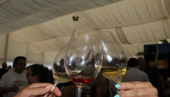 Dalmacija  Wine Expo 1. i 2. svibnja na Kačićevom trgu