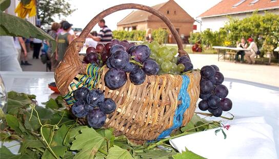 Delegacija Grada Makarske u posjetu Iloku i Vukovaru