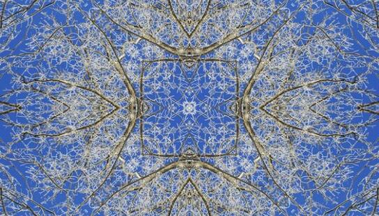 Izložba Damira Hoyke u Galeriji A. Gojaka večeras u 21,00 sat