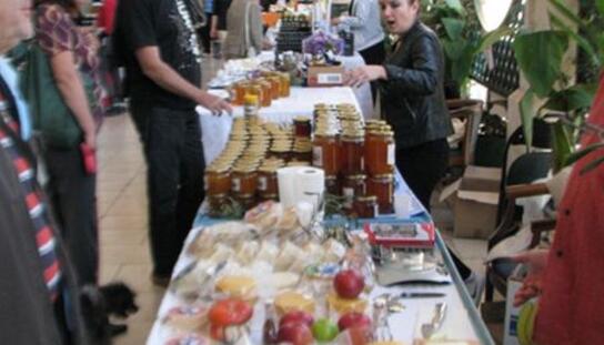 Danas na Trgu 156. brigade otvaranje sajma 'Dalmacijo, sve ti cvitalo….'