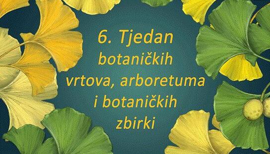 Park prirode Biokovo: Počinje VI. Tjedan botaničkih vrtova i arboretuma Hrvatske