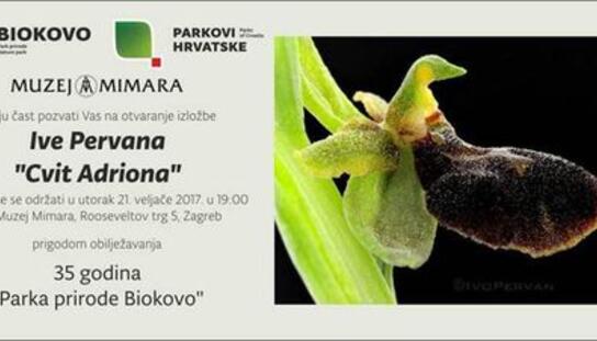 Cvit Adriona: Otvaranje Izložbe fotografija autora Ive Pervana 21. veljače u Muzeju Mimara