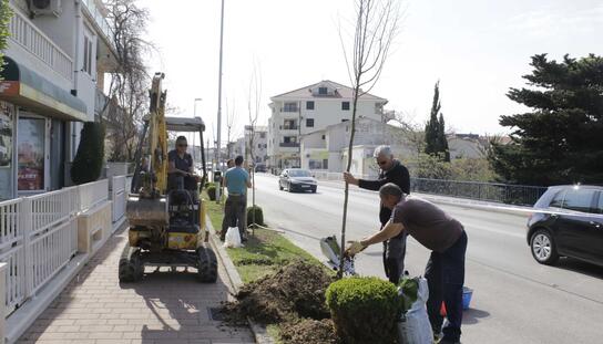 Grad sve zeleniji: Novi drvored u Starčevićevoj ulici