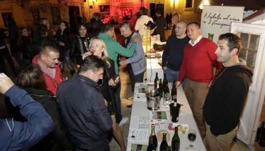 Osma godina zaredom: Dalmacija Wine Expo ponovo privukao brojne Makarane na Wine & Fun days