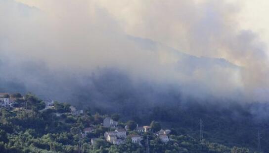 Veliki šumski požar kod Podgore: Na terenu 250 vatrogasaca iz cijele Dalmacije