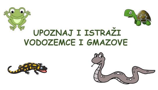 U organizaciji JU Park prirode Biokovo: Počele radionice za djecu ''Upoznaj i istraži vodozemce i gmazove“