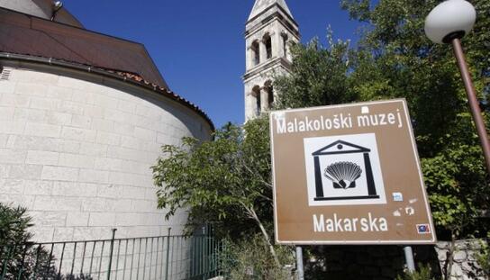 Nakon temeljite obnove i uređenja: Svečano otvorenje stalnog postava Malakološke zbirke Franjevačkog samostana 13. srpnja