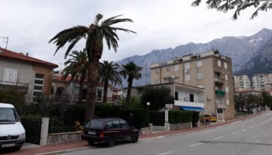 Obavijest građanima: Mjere uklanjanja palmi zaraženih crvenom palminom  pipom u privatnim dvorištima