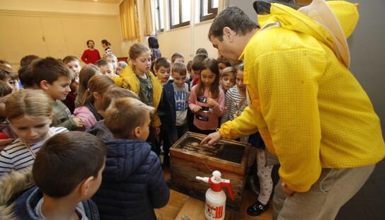 Medni dan u makarskim osnovnim školama: Makarskim prvašićima podijeljene 144 staklenke meda