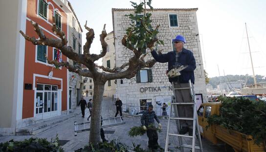 Tradicionalna uređivanje murvi na gradskoj rivi