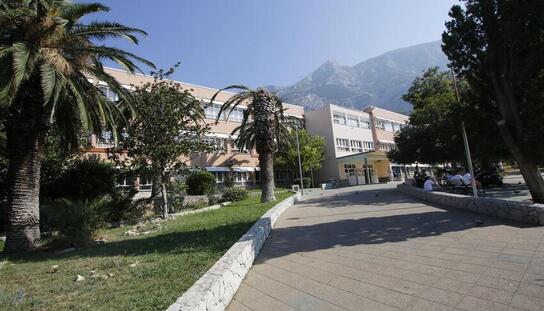 Osnovna škola Stjepana Ivičevića: Učenici od 5. do 8. razreda od ponedjeljka 29. ožujka prelaze na online nastavu